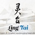 logo_10_ling_tao
