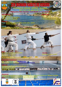 curs d´estiu Benissa2015