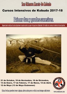 Cursos Intensivos Kobudo 2017-18